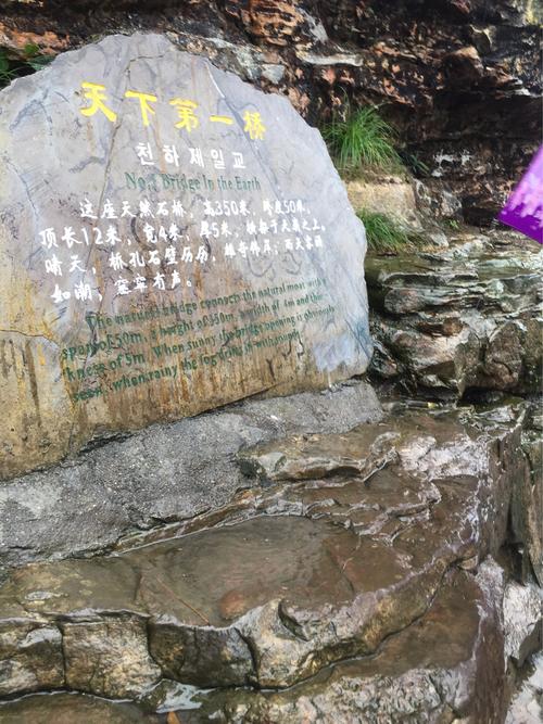 雨中缺少_350字