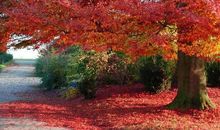 汕头的秋天_300字