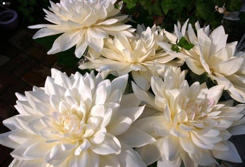 仿真鲜花_650字