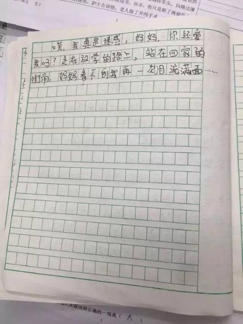 关于妈妈的作文：无形的永恒_400字