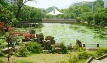 校园的风景线_450字