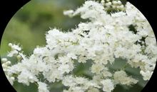 同情弱者,关爱他人_750字