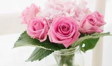 像花一样浪漫 _1500字