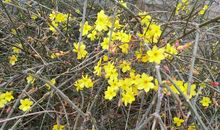 寻找春天_1200字