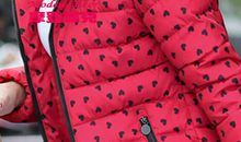 逝去的蝶儿_800字