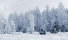 冬天之后_1000字