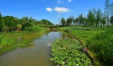 公园的一角_600字