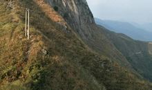 神奇金仙寨_150字