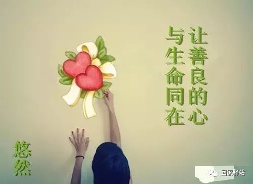 请不要给你同情心。