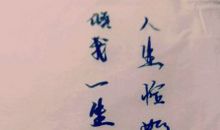 这年夏，无需感伤_150字