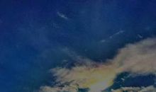 那些年追过的梦想_900字