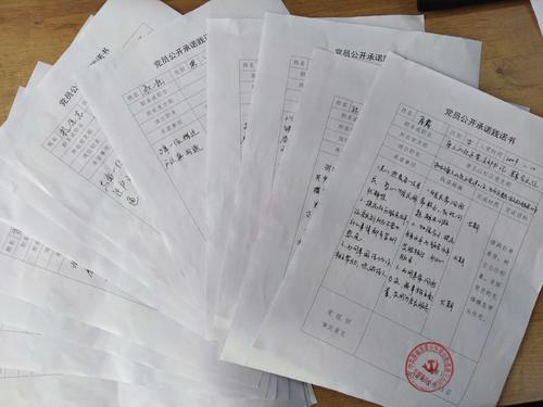 2018年部队党员承诺（1）