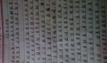 友情，原来这么简单_800字