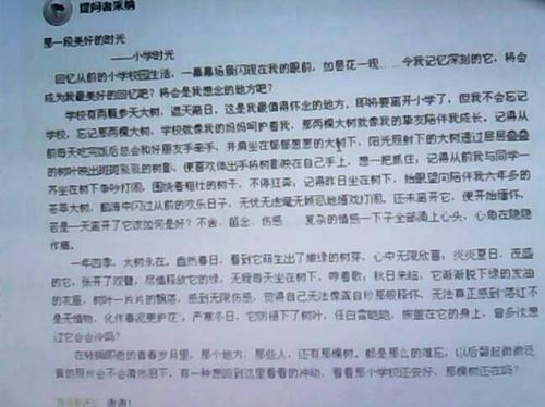 最好的回忆_600字
