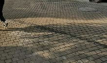 圆中国梦，走复兴路_900字