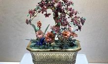 树干为啥米是圆的_600字