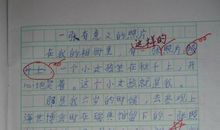 三年级看图作文：乌鸦反哺_400字