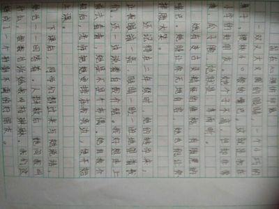 今年夏天_600字
