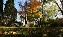 港城的深秋_300字