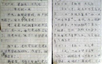 我喜欢“花”这个词_200字