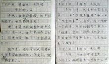 我喜欢“花”字_200字