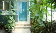 我快乐的小天地——楼下的小院_300字