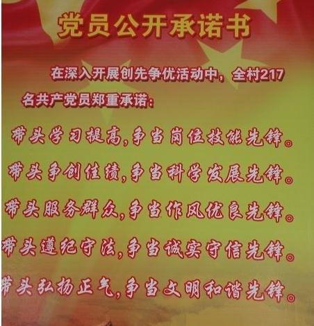 武力军事党员公共承诺如何写作（2）
