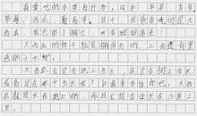 关于水果的作文：2023的水果_600字
