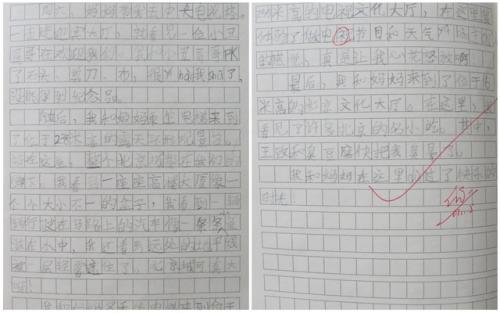 记得在第一天：去海口旅行_300字