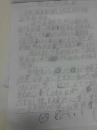 第一天，暑假一天_300字