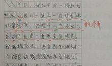 我的朋友们_2000字