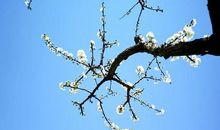 春风的回忆_750字