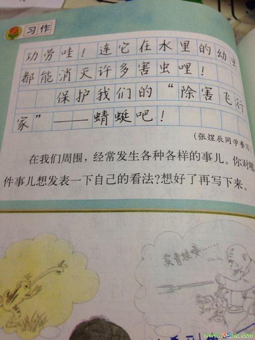 一年级组成：蜓_350字