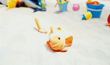 浅草池塘（2）——夏日的盛宴_500字