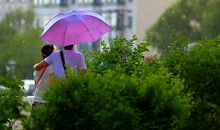 落雨青春别_650字