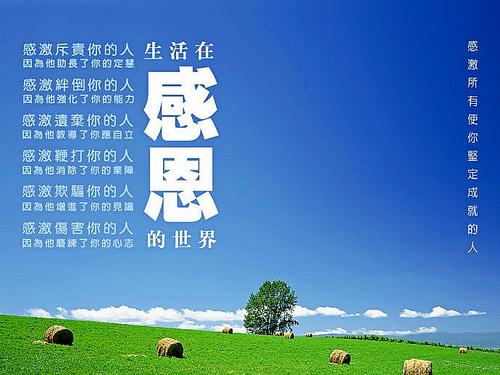 初中生感恩节组成600字：生命在感恩的世界_700字