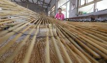 语文老蒲_1200字