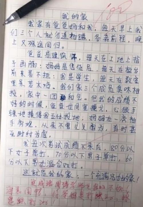 美丽的家_1000字