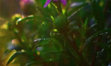 阳光暖暖的_1200字