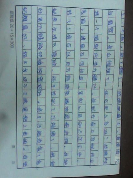 我的幻想_200字