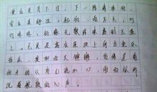 一种水的高度_700字