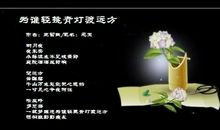 夜伴青灯_1200字