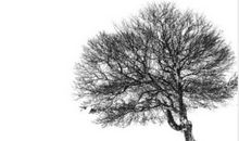 村上春树经典语录