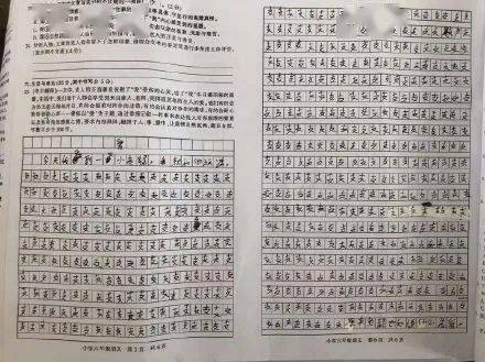 关于教师的作文：我的“责备”老师_1000字