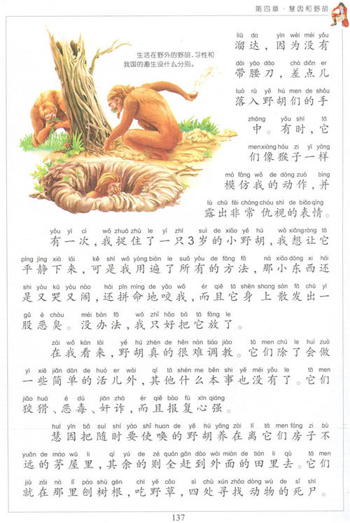 秋季日本林旅游_700字