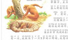 秋日槐林游记_700字