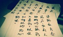 不屈的生命之歌_450字