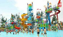 致我们终将热死的夏天_800字