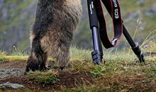 我与大自然的亲密接触_300字