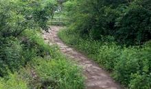 暗夜小路_1500字